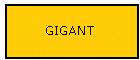 GIGANT